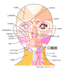 唇のまわりの筋肉を鍛えて小顔になろう！！